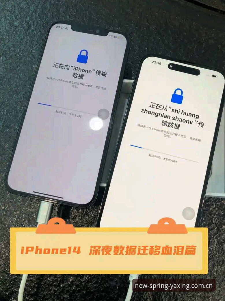 亚星娱乐春季版本更新怎么下载 亚星娱乐春季版本更新怎么下载?数据迁移后旧版还能用吗?